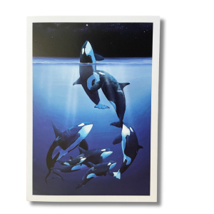 Tokitae Greeting Cards