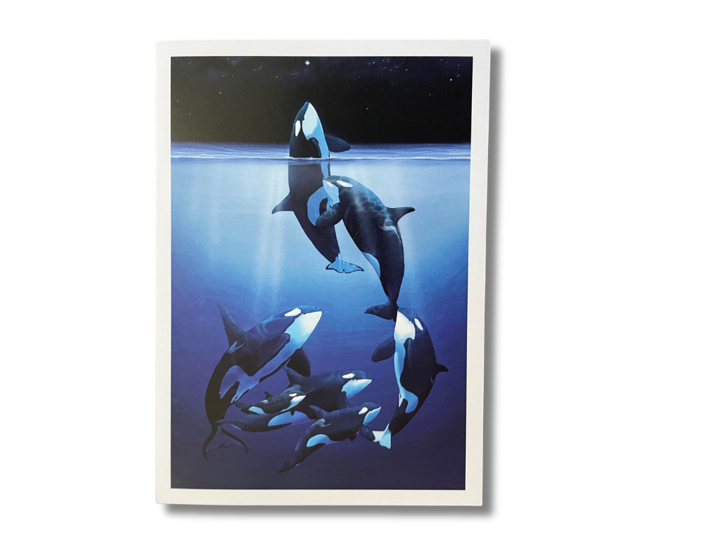 Tokitae Greeting Cards